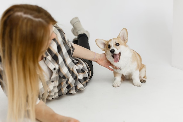 Mujer mascota perro corgi juega enseña comandos