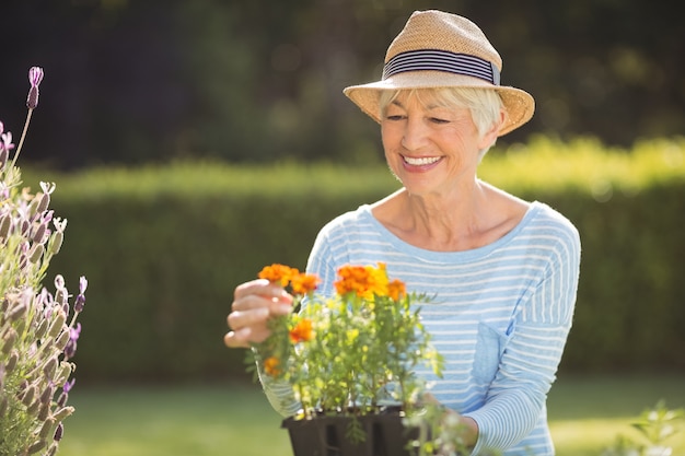 Mujer mayor, jardinería