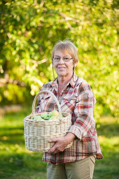 Mujer mayor que sostiene la cesta de mimbre con manzanas verdes.