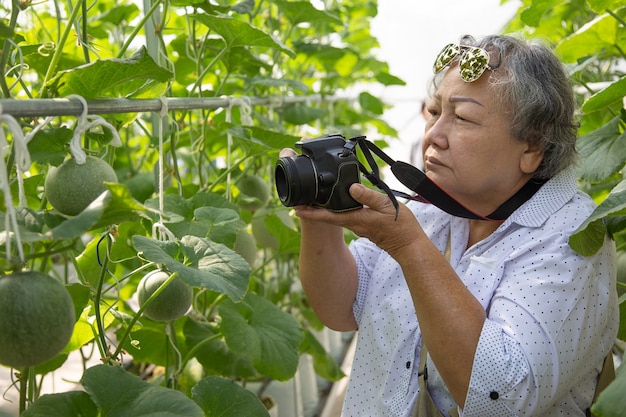 Mujer mayor tomando foto en jardinería. Prolongar a la mujer activa de retiro para hacer actividades