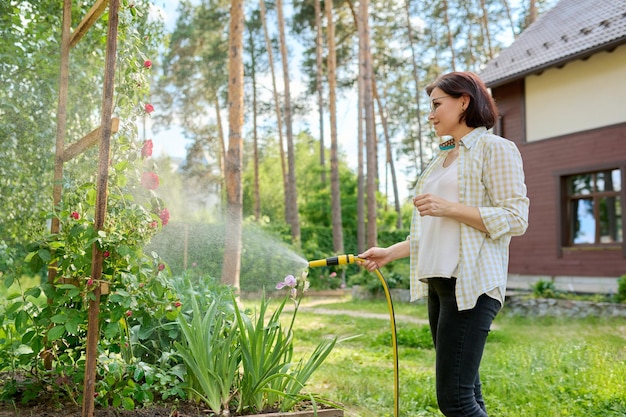 Mujer de mediana edad en el jardín regando rosales de la manguera de jardín