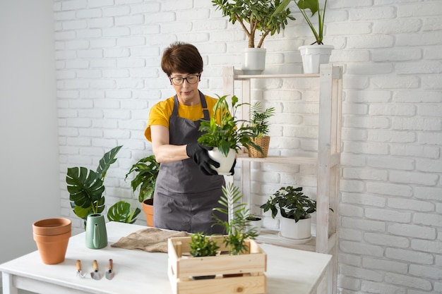 Mujer de mediana edad jardinera trasplantando plantas en macetas de cerámica en el concepto de mesa de madera blanca de