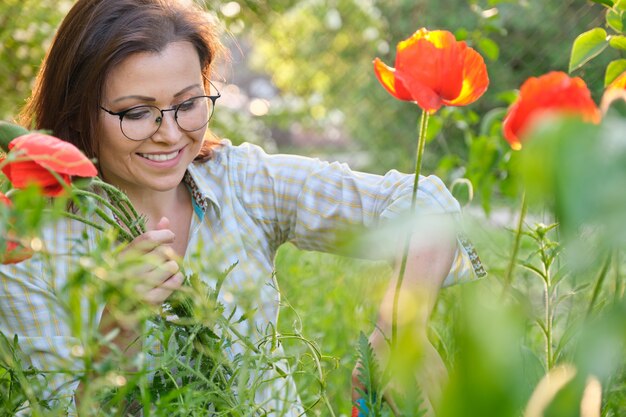 Mujer de mediana edad en la naturaleza cortando flores amapolas rojas