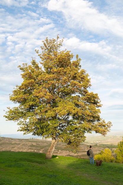 Mujer mirando la vista con árbol con perro Trancoso, Portugal