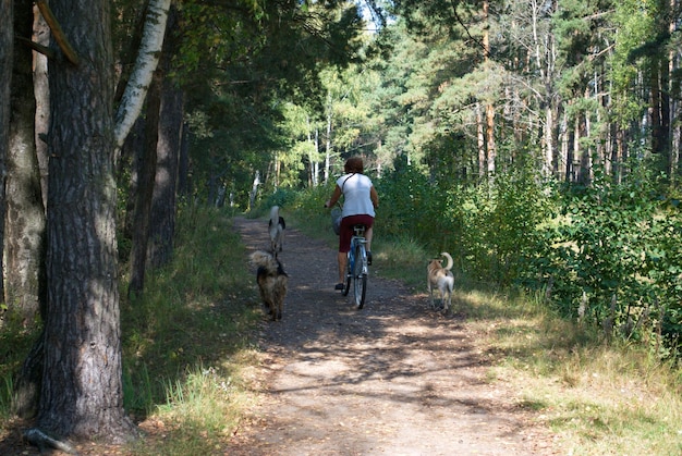 Una mujer monta en bicicleta por un sendero forestal acompañada de perros.