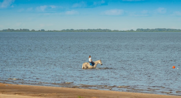 Una mujer monta un caballo en el agua.