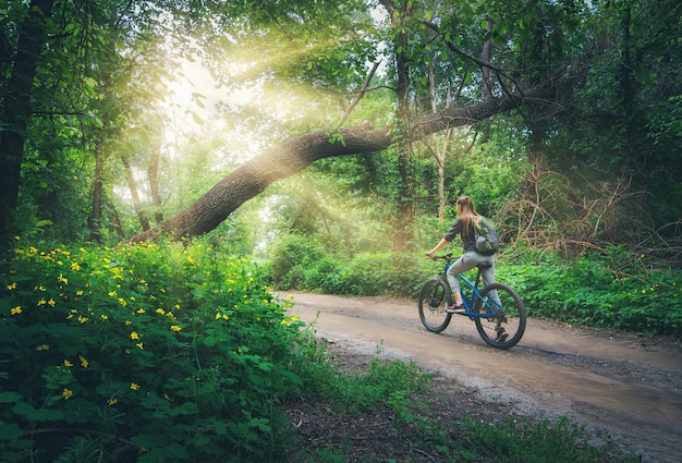 Mujer montando una bicicleta en el bosque en primavera al atardecer