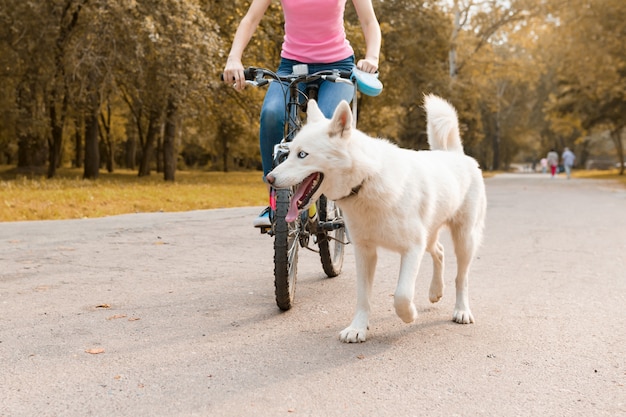 Mujer montando bicicleta con un perro husky blanco