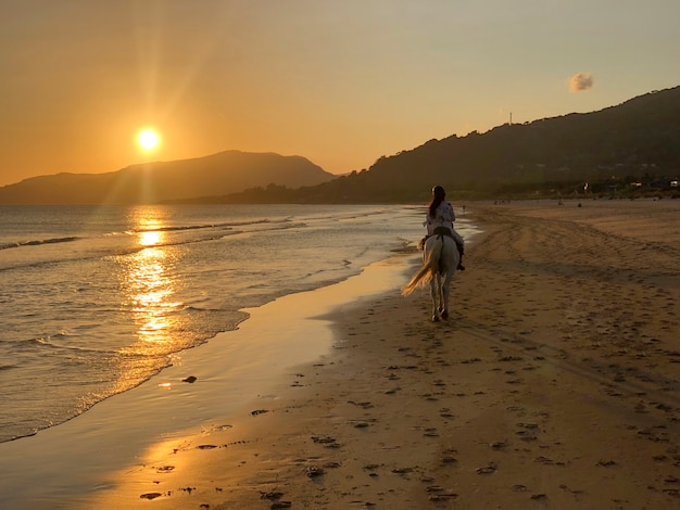 mujer montando un caballo en la puesta de sol en la playa