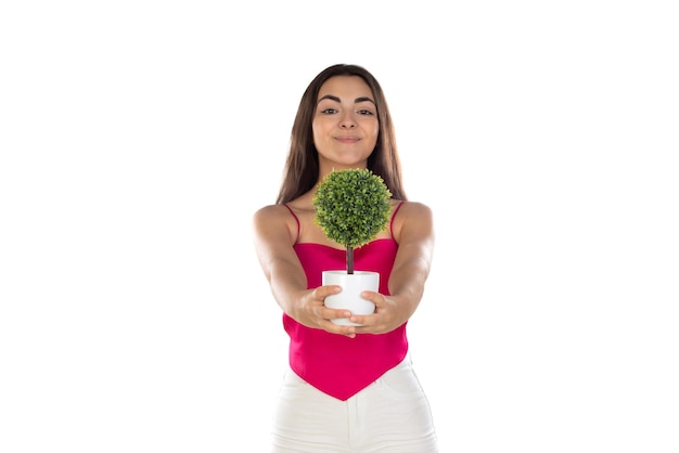 Mujer morena de belleza con un pequeño árbol verde