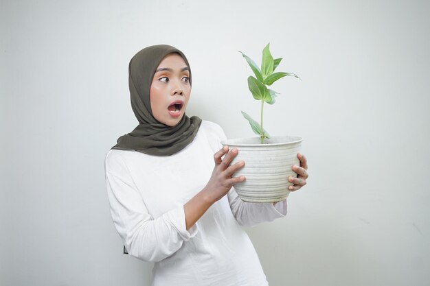 Mujer musulmana asiática conmocionada con camiseta y hiyab sosteniendo una planta aislada de fondo blanco