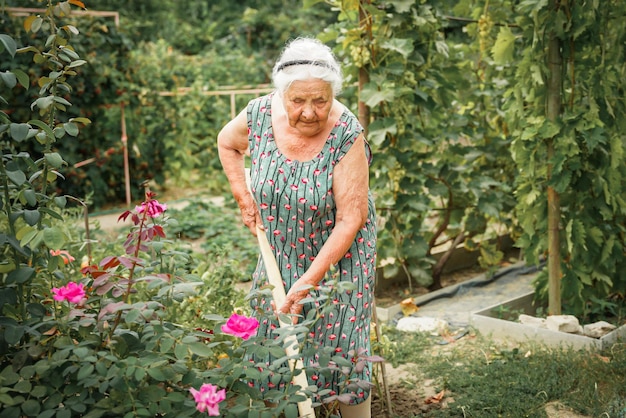 Mujer muy anciana con canas trabajando en su hobby de jardín para el concepto de jubilación de personas mayores