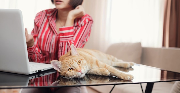 Mujer de negocios con una camisa roja con un gato jengibre en casa