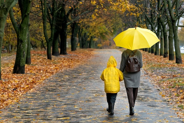 Mujer y niño con un gran paraguas amarillo y una chaqueta amarilla caminan en el lluvioso parque de otoño Vista posterior