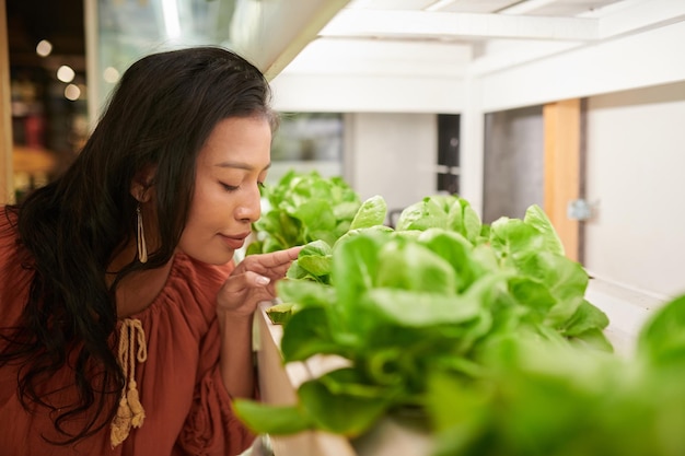 mujer, oler, lechuga, en, tienda