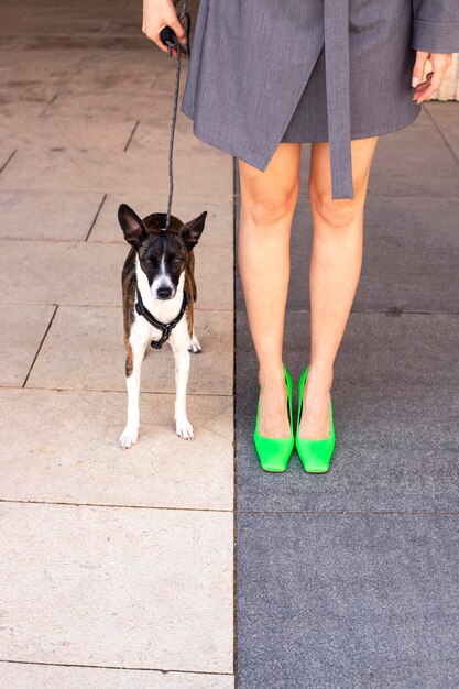 Mujer optimista con traje gris sonriendo y jugando con perro.