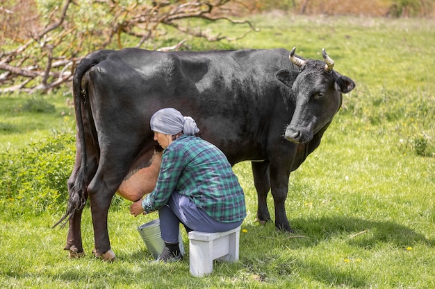 Foto mujer ordeñando la vaca