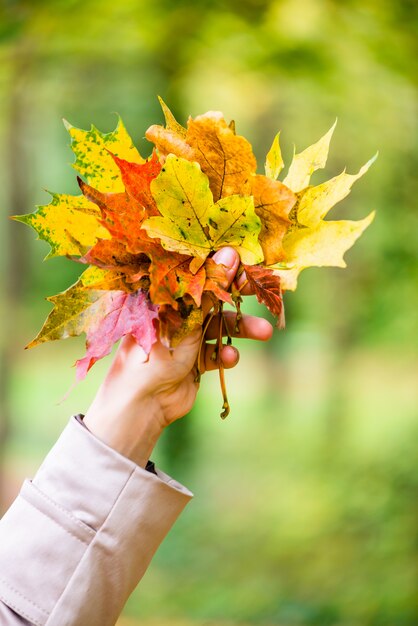 Mujer en otoño o otoño con hojas coloridas.