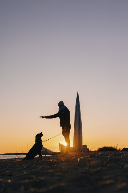 Mujer paseando a su perro al atardecer hermoso atardecer con el telón de fondo de los edificios modernos