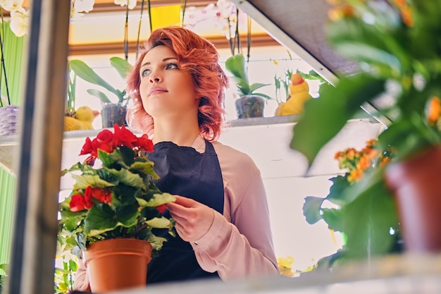 Mujer pelirroja sostiene flor en una vaina en una tienda de mercado.