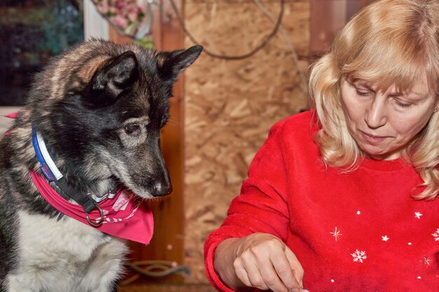 Una mujer con el pelo blanco y un perro de trineo se sienta en la mesa de la cena