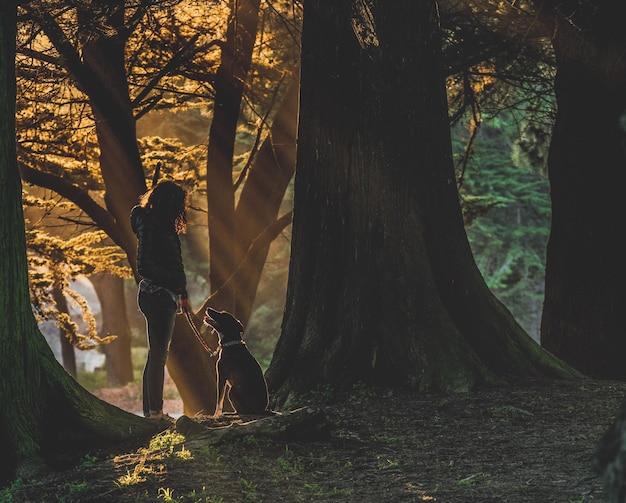 Foto mujer con perro de pie junto a los árboles en el bosque