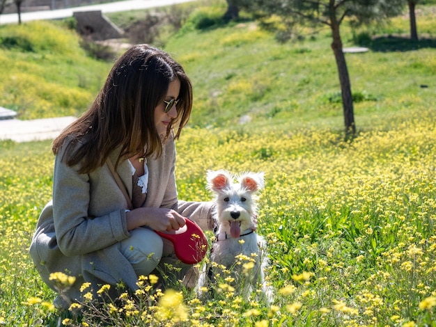 Mujer con perro Schnauzer en campo de flores amarillas