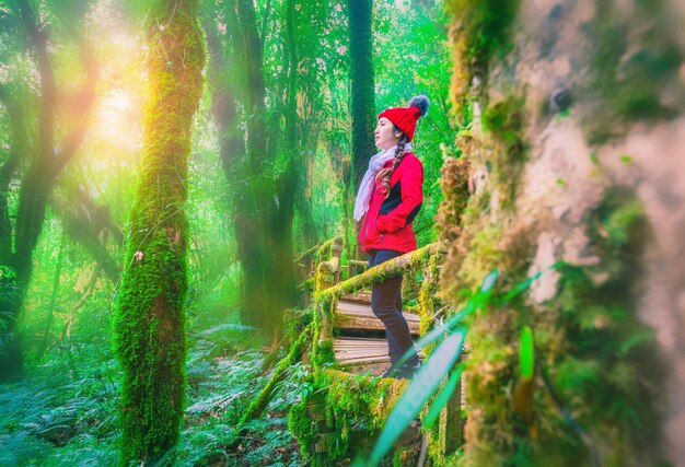 Foto mujer de pie junto a un árbol en el bosque