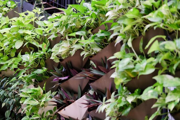 Foto mujer de pie junto a las plantas