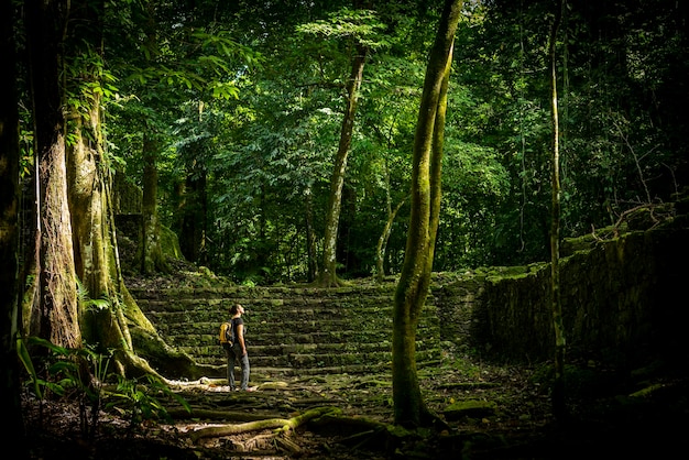 Mujer de pie en medio de árboles en el bosque