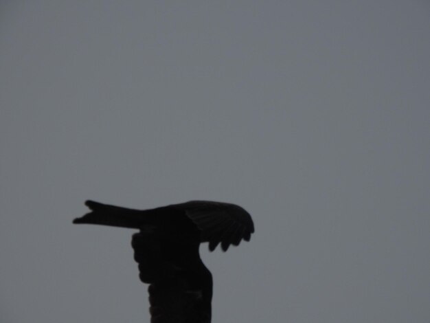 Foto mujer de pie en la oscuridad