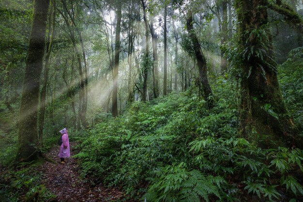 Foto mujer de pie en el sendero en medio de los árboles en el bosque.