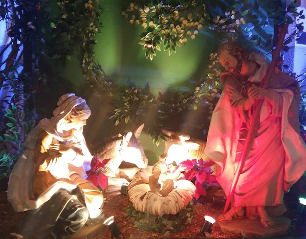 Mujer de pie en el tronco del árbol