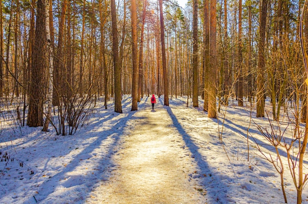 Una mujer en un pinar en invierno, iluminada por el sol.