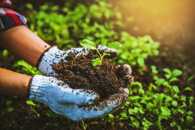 Mujer planta vegetales