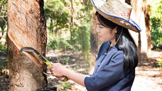 Mujer en plantación de caucho