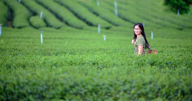 Mujer en una plantación de té en Hill Valley