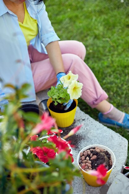 Mujer plantando petunia surfinia flores maceta concepto de jardinería en casa