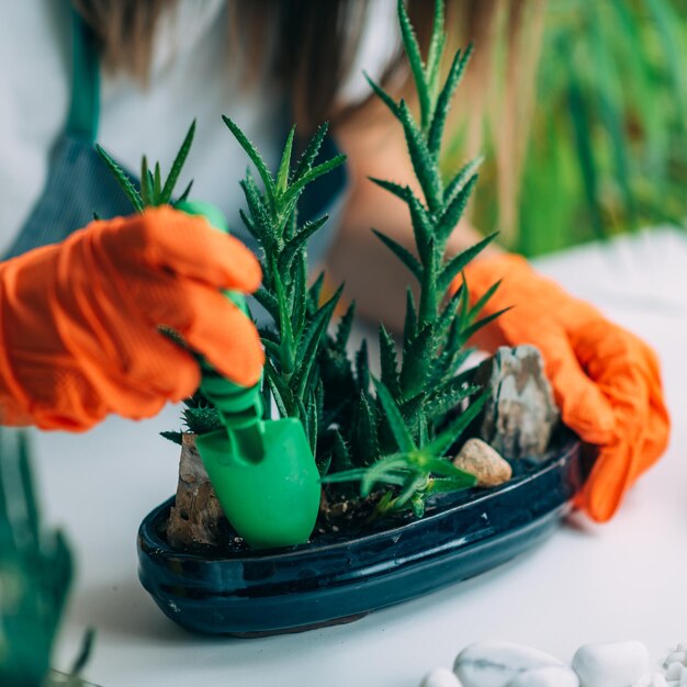 Mujer plantando semillas en maceta en casa