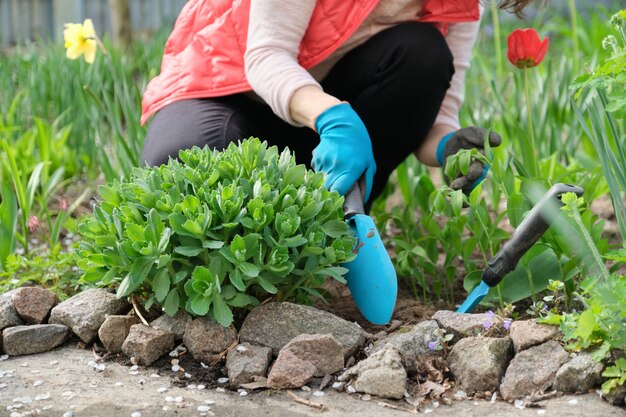 Mujer plantar flores en el jardín