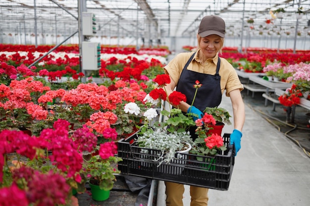 Mujer pone flores en una caja recogiendo un pedido en un invernadero