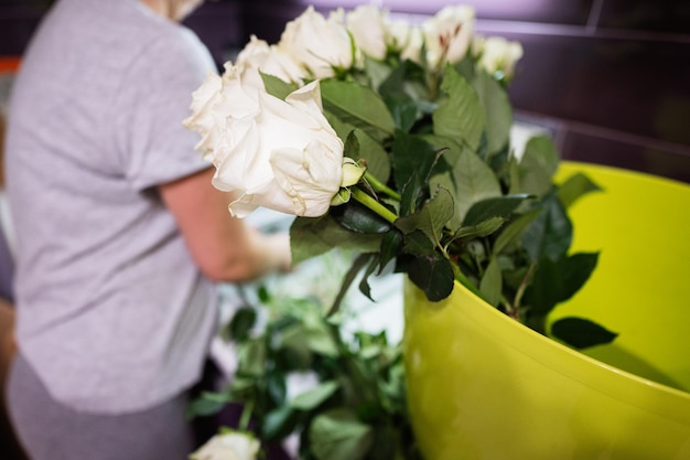 Mujer pone rosas blancas en una olla verde