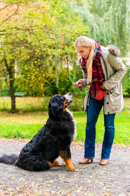 Mujer poniendo la correa en el perro a pasear