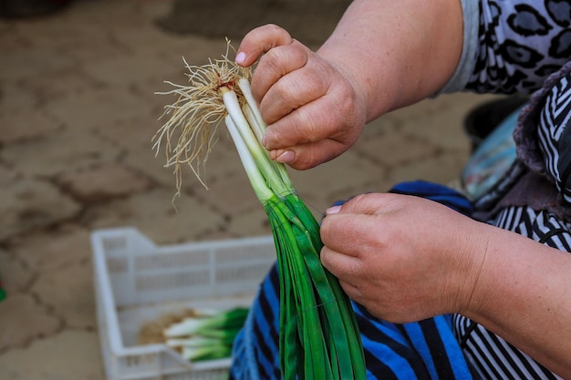 Mujer preparando cebolletas orgánicas para el mercado