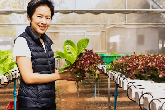 Mujer propietaria agricultora que trabaja y cuida plantas de crecimiento de vegetales o enfermeras Hidropónico orgánico en invernadero