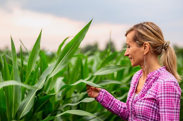 Mujer que controla las plantas de pañales de campo.