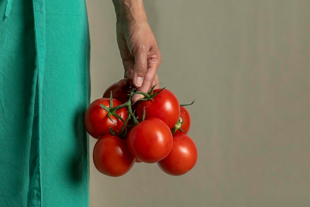 Mujer que sostiene el manojo de tomates de vid foto de archivo