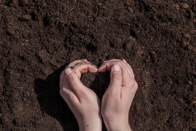 Una mujer que sostiene la tierra y se prepara para plantar un enfoque selectivo Concepto de ecología y medio ambiente del Día de la Tierra Plántula de pimienta en el suelo Brote de planta verde Foto horizontal