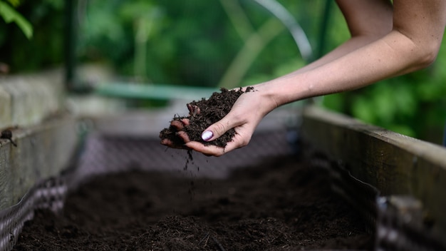 Mujer que trabaja en su jardín