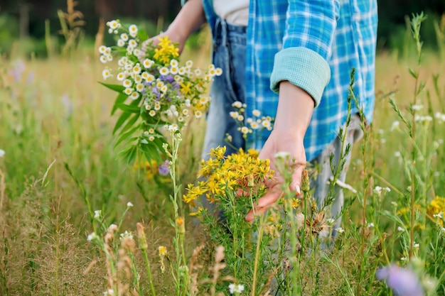 Mujer con ramo de hierbas y flores de campo tocando plantas florecientes en el campo de verano